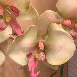 Meet your Posher, Marthamartha